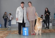 Региональная выставка собак всех пород ранга САС КЧФ РФСС г. Челябинск